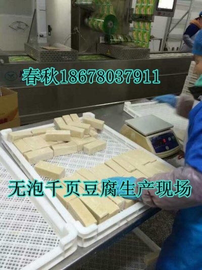 無泡千頁豆腐設(shè)備春秋技術(shù)免費(fèi)
