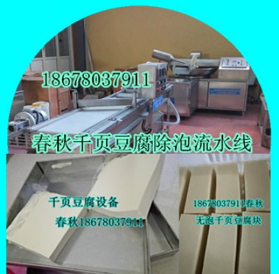 千頁豆腐流水線設(shè)備春秋免費(fèi)技術(shù)上門服務(wù)