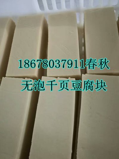 千頁豆腐無泡技術(shù)，千頁豆腐無泡設(shè)備春秋免費(fèi)